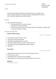 Job Fair Resume Example